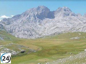 La influencia del clima en la biodiversidad de los tremedales es revelada por estudio de la Universidad de Oviedo