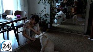 Directores internacionales presentarán en España sus últimas obras en el FICX