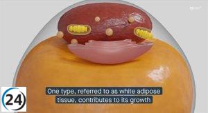 Descubre cómo la conversión de grasa blanca a parda podría ser clave en la lucha contra el cáncer de próstata.