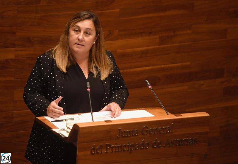 Se solicitan informes en respuesta a acusaciones de empleado en guardería de Ribadesella.