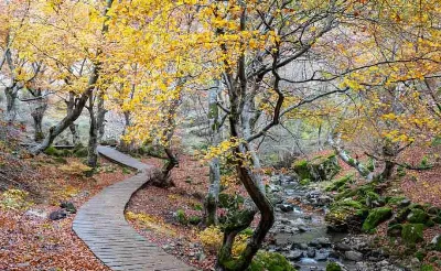 Descubre las mejores rutas de senderismo en las montañas asturianas