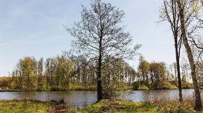 Las joyas ocultas de las montañas asturianas