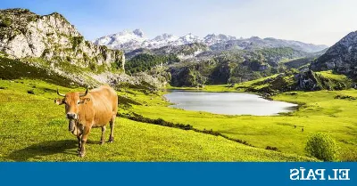 Vive una experiencia auténtica en las aldeas asturianas