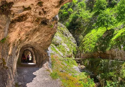 Conoce la fauna y flora de Asturias en una ruta de senderismo rural