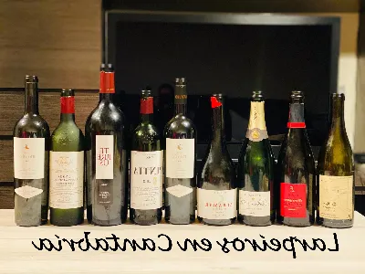 Los vinos de Asturias: una sorpresa enológica